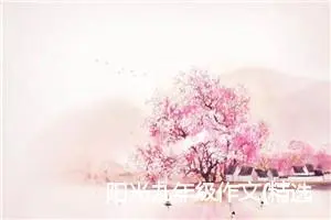 阳光九年级作文(精选5篇)