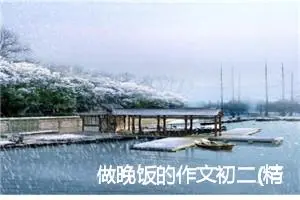 做晚饭的作文初二(精选5篇)