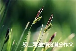 初二写选择的满分作文(精选5篇)