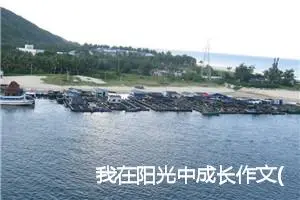 我在阳光中成长作文(精选5篇)