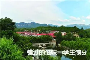 错过的滋味中学生满分作文(精选5篇)