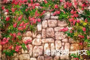 老师的初一作文