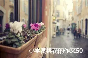 小学赏桃花的作文500字