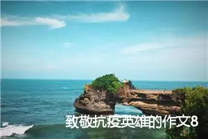 致敬抗疫英雄的作文800字