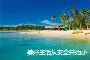 美好生活从安全开始小学作文(精选10篇)