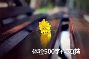 体验500字作文(精选6篇)