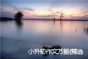 小升初作文万能(精选10篇)