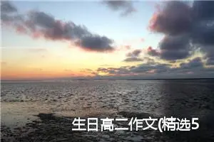 生日高二作文(精选5篇)