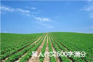 写人作文600字满分高一(精选5篇)