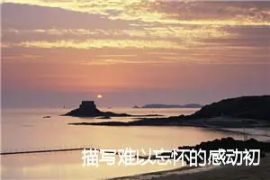 描写难以忘怀的感动初中作文(精选5篇)