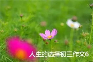 人生的选择初三作文600字(精选5篇)