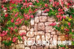《老人与海》读书感悟六年级作文600字(精选10篇)