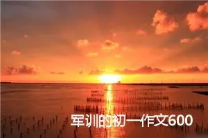 军训的初一作文600字(精选5篇)
