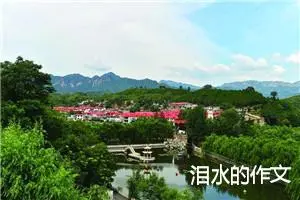 泪水的作文