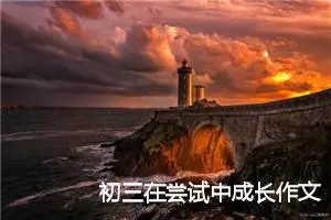 初三在尝试中成长作文(精选5篇)