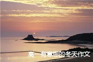高一有意思的冬天作文(精选5篇)