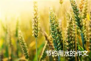 节约用水的作文