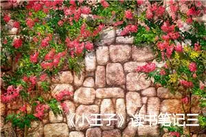 《小王子》读书笔记三年级作文