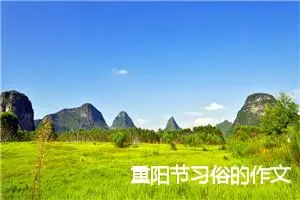 重阳节习俗的作文