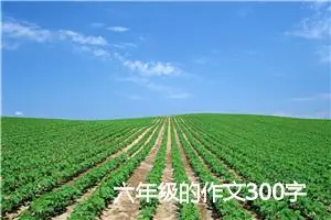 六年级的作文300字(精选4篇)