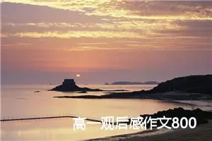 高一观后感作文800字(精选5篇)