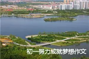 初一努力成就梦想作文600字(精选10篇)