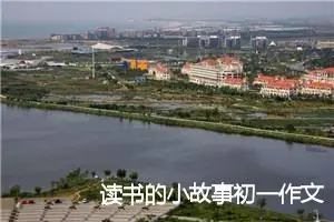 读书的小故事初一作文(精选5篇)