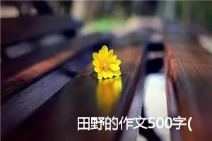 田野的作文500字(精选5篇)