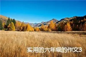 实用的六年级的作文300字(精选3篇)