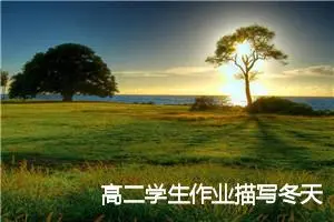 高二学生作业描写冬天的作文(精选5篇)