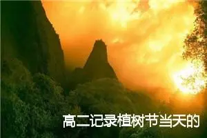 高二记录植树节当天的作文600字(精选5篇)