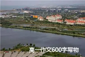 高一作文600字写物(精选5篇)