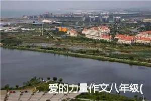 爱的力量作文八年级(精选5篇)