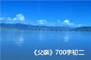 《父亲》700字初二作文(精选5篇)