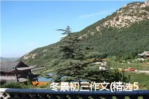 冬景初三作文(精选5篇)