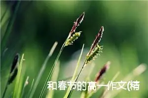 和春节的高一作文(精选5篇)
