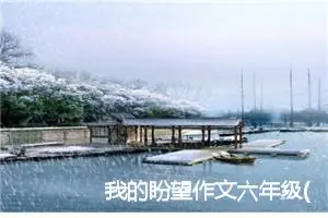 我的盼望作文六年级(精选5篇)