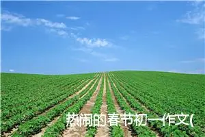 热闹的春节初一作文(精选5篇)