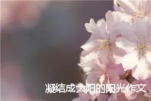 凝结成太阳的阳光作文(精选5篇)