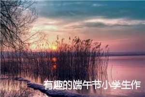 有趣的端午节小学生作文(精选5篇)