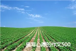 描写心愿的作文500字(精选6篇)