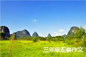 三年级观察作文