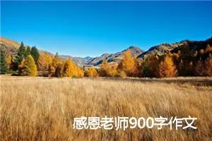 感恩老师900字作文