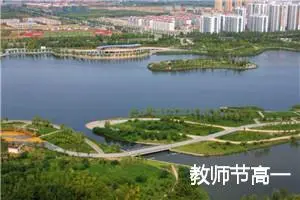 教师节高一