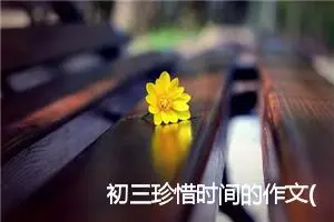 初三珍惜时间的作文(精选5篇)