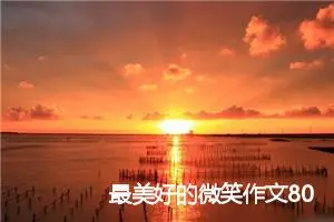 最美好的微笑作文800字(精选5篇)