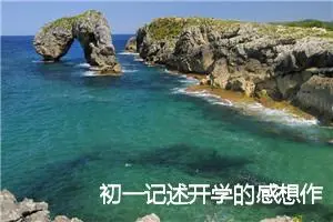初一记述开学的感想作文(精选5篇)