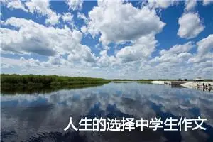 人生的选择中学生作文600字(精选5篇)