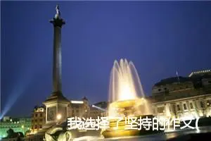我选择了坚持的作文(精选5篇)