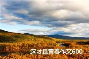 这才是青春作文600字高一(精选5篇)